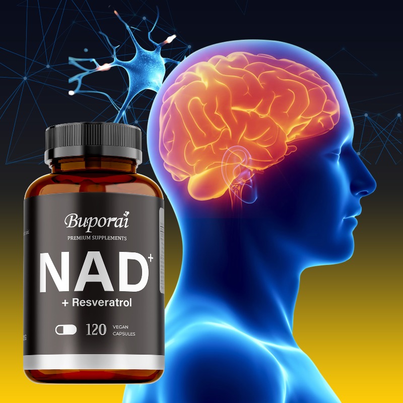Resveratrol Capsule Anti Aging - Suplementos de NAD+ - Antienvejecimiento, Regulan