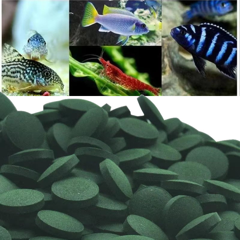 Spirulina Tablet Organic - 50/100/300/500 Uds tabletas de espirulina concentrado